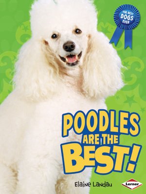 cover image of Poodles Are the Best!